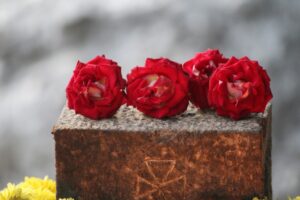 Read more about the article All Souls Day